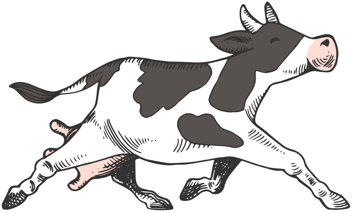 drawing_mucca_big