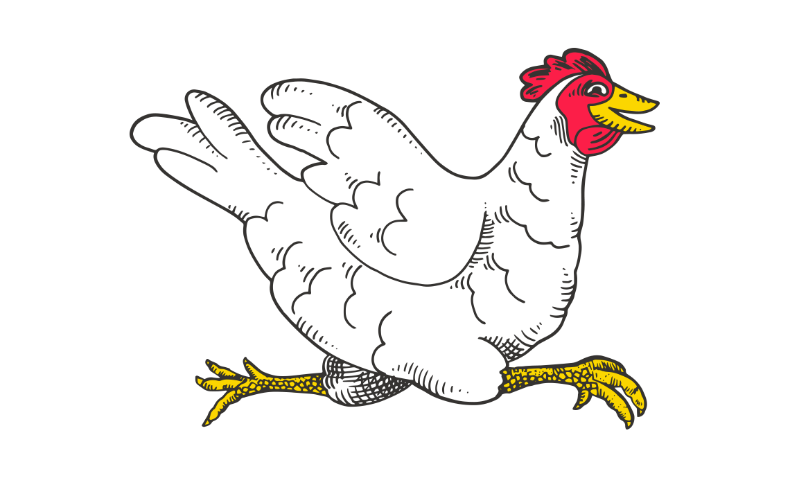 drawing_pollo