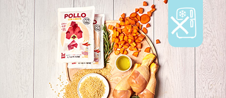 Pollo